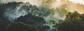 Fototapete Mystischer Regenwald im Morgennebel