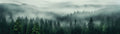 Fototapete Nebelwald mit Tannenpanorama